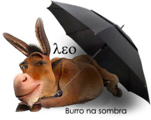 burro_na_sombra